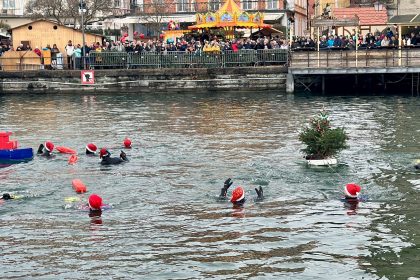 20 Mutige springen beim Nikolausschwimmen in Bodensee