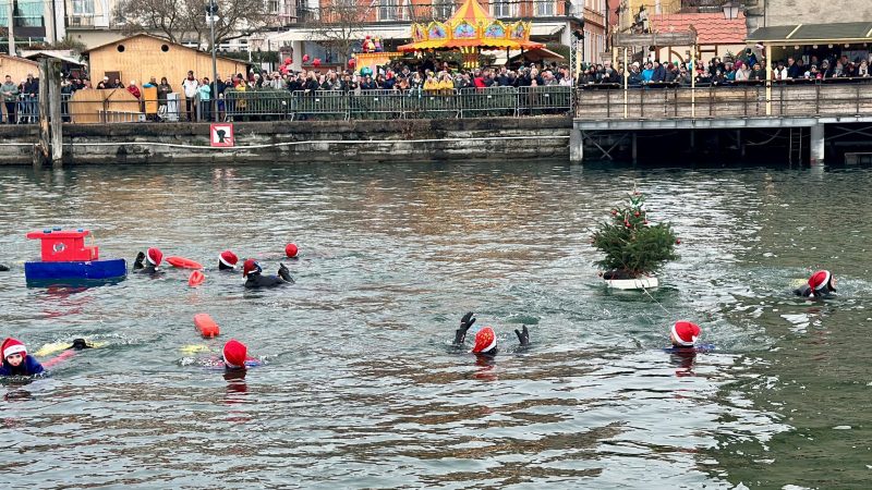 Nikolausschwimmen: Schaulustige schauen den Schwimmern im Bodensee zu.