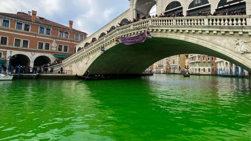 Das Wasser des Canal Grande unter der Rialto-Brücke in Venedig ist leuchtend grün gefärbt.