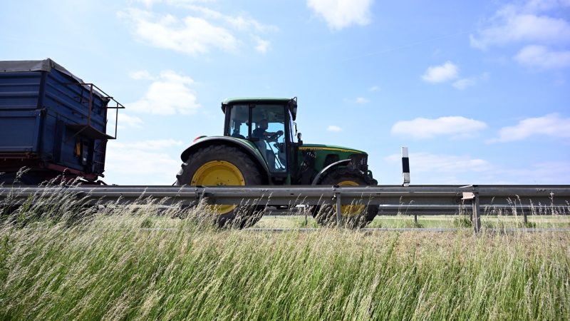 Mit Traktoren nach Berlin: Bauernverband ruft zu Kundgebung auf
