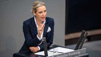 Die Universität Bayreuth prüft einen Plagiatsverdacht gegen AfD-Chefin Alice Weidel.