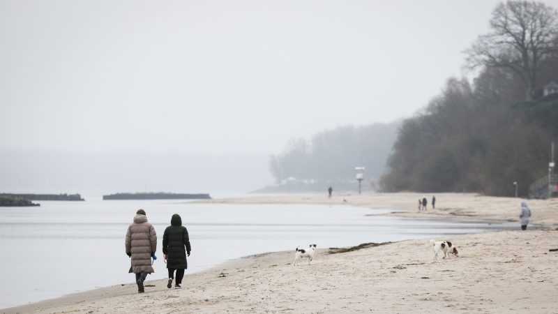 Spaziergänger mit Hunden sind bei leichtem Nieselregen am Strand von Schilksee bei Kiel.