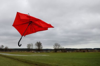 Meteorologen erwarten grau-grünes Weihnachten