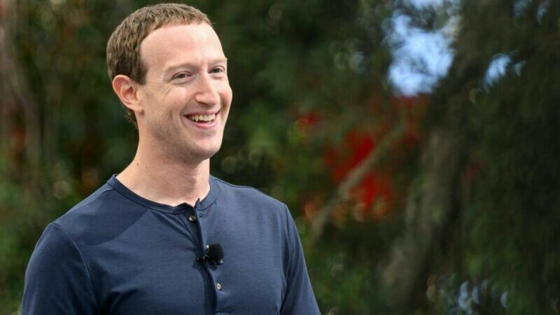 Bier und Macadamia statt Wasser und Gras: Edelrinder-Zucht von Facebook-Chef Zuckerberg