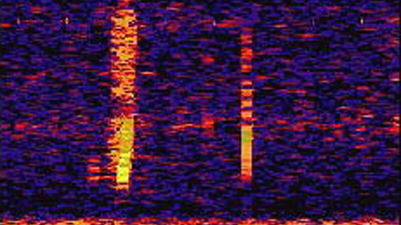 Visuelle Darstellung des 1997 von Tiefseemikrofonen aufgezeichneten und als Bloop bezeichneten Geräuschs.