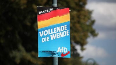 SPD-Ministerpräsidenten warnen vor Risiken bei AfD-Verbotsverfahren