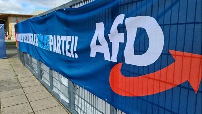 Soziologe: „Erfolgskurs der AfD“ ist gestoppt worden