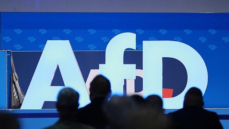 Run auf Parteibücher: Fast 11.000 mehr Mitglieder bei der AfD