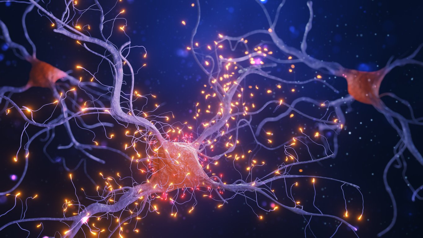 Researchers identify possible harbingers of multiple sclerosis