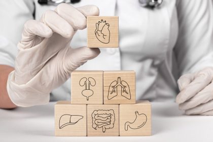 Studie: Organe altern unterschiedlich schnell – was das für die Gesundheit bedeutet