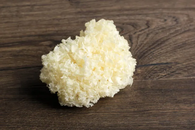 Nahrungsmittel für Frauen: Tremella-Pilz