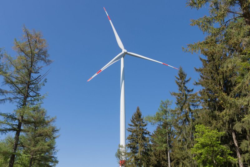 Unkalkulierbare Risiken für Waldbesitzer, über die kaum einer spricht