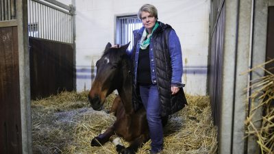 Nadine Wilkens, Landwirtin und Inhaberin einer Pferdepension, hat ihre Tiere vor dem Hochwasser in Sicherheit gebracht.