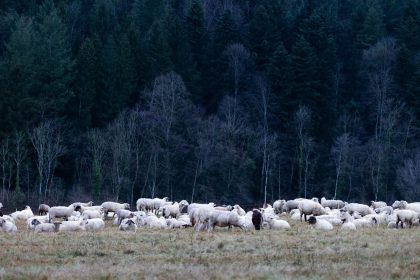 Der Winter kommt mit Schnee und Minustemperaturen