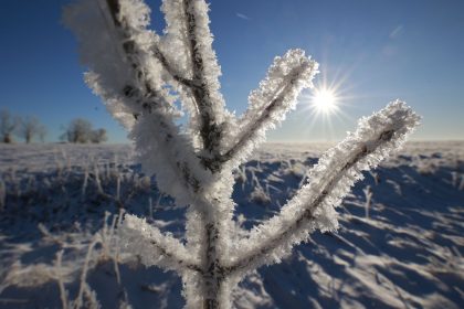 Bisher kälteste Nacht des Winters in Deutschland