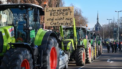 Mit einem Traktor-Konvoi demonstrieren Bauern gegen Subventionskürzungen.