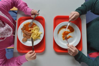 Gerichtsurteil zu vegetarischem Schulessen: Eltern ohne Anspruch auf Fleisch oder Fisch