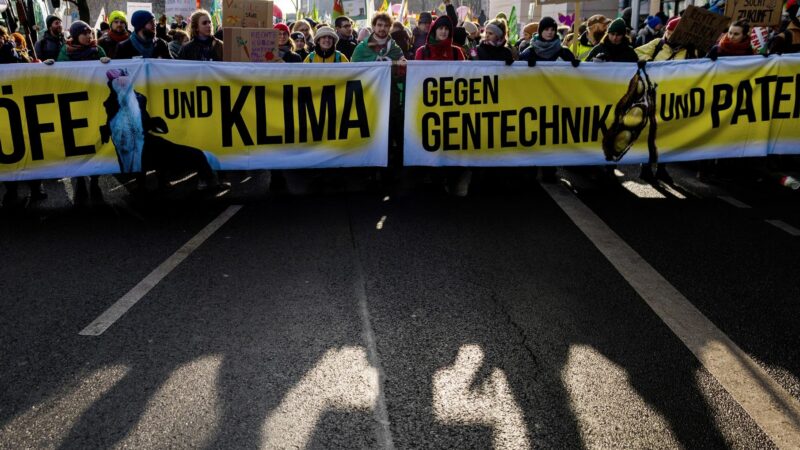 Vertreter des Bündnisses «Wir haben es satt!» übergaben eine Protestnote mit dem Titel «Ungerechtigkeit und Hunger stoppen - bäuerliche Rechte weltweit stärken» an Agrarminister Cem Özdemir.