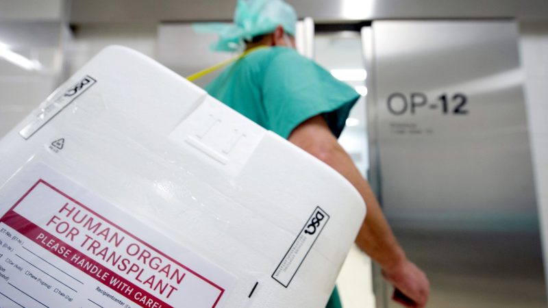 Ein Styropor-Behälter zum Transport von zur Transplantation vorgesehenen Organen.