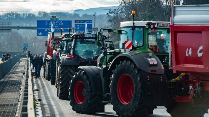 Französische Landwirte protestieren seit Monaten für eine bessere Bezahlung und gegen die ihrer Meinung nach übermäßige Regulierung, steigende Kosten und andere Probleme.