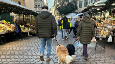 Südtirol: Kampf den Hunde-Häufchen und Strafen bis zu 1.048 Euro