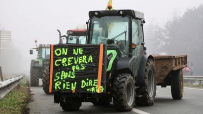 Warum schürt das Mercosur-Abkommen erneut die Wut der Landwirte?