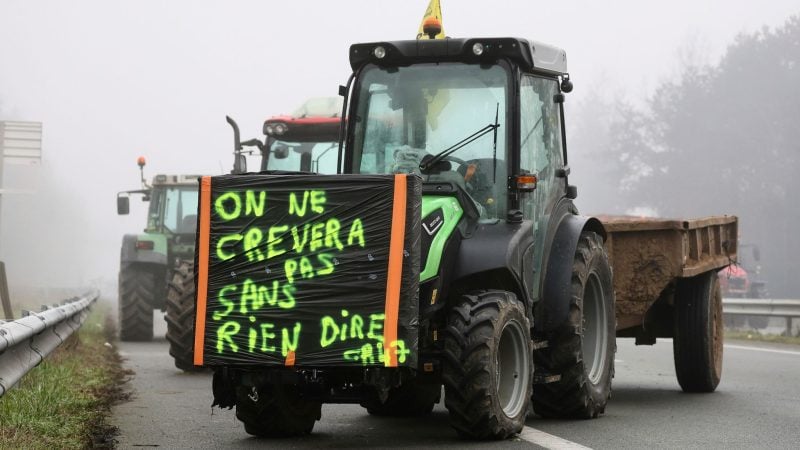 «Wir werden nicht sterben, ohne ein Wort zu sagen» - auch in Frankreich brodeln Bauernproteste.