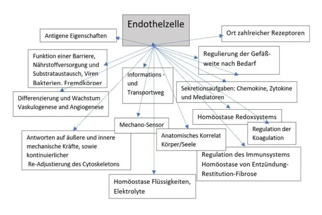 Ärztin: Infraschall ist „eine riesige, bisher unerkannte Gefahr für die gesamte Biodiversität“