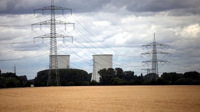 Frankreich erwägt Bau einer Anlage zur erneuten Anreicherung von Uran