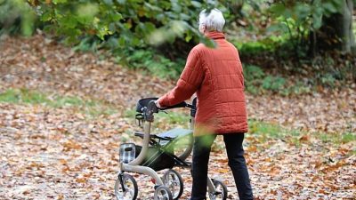 Ökonom Raffelhüschen verlangt Nullrunde für Rentner
