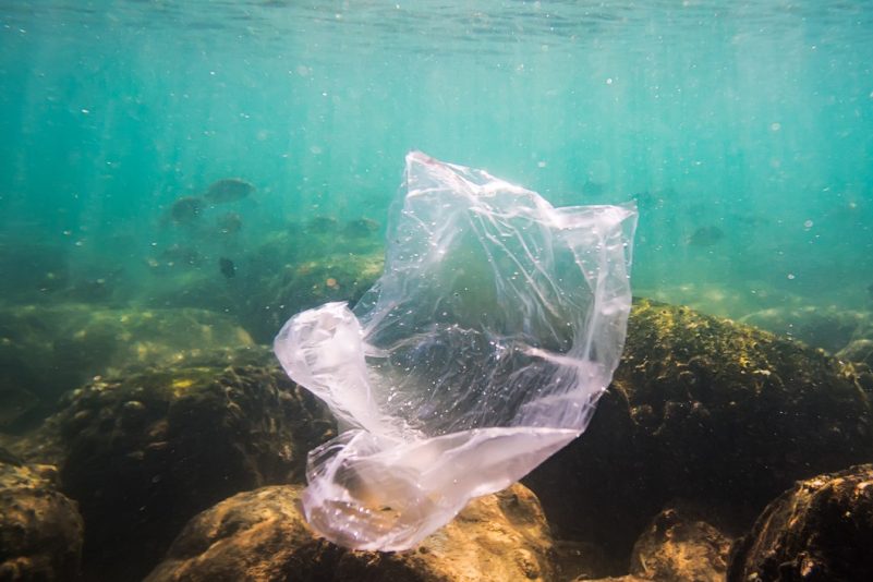 Mikroplastik tief gesunken