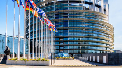 Trotz Bauernprotesten: EU-Parlament segnet umstrittenes Renaturierungsgesetz ab