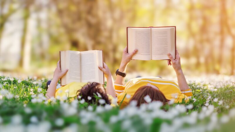 Warum gute Literatur für eine gute Erziehung unerlässlich ist
