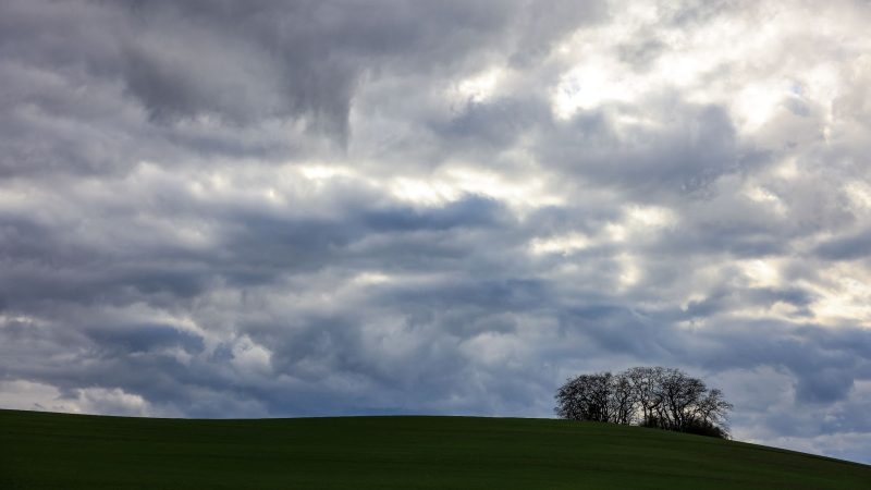 Wolken ziehen bei viel Wind über einen Hügel bei Peterberg in Sachsen-Anhalt. «Der Beginn des Februars ist eine Jahreszeit, an dem der Winter gerne seinen Höhepunkt erreicht. Davon ist in diesem Jahr allerdings nichts zu sehen», erklärte Felix Dietzsch vom DWD.