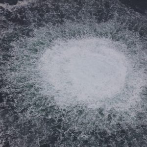 Medienbericht: Alle Mitglieder des Nord-Stream-Sabotagekommandos identifiziert