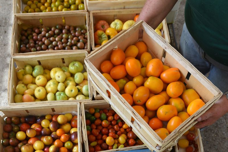 Das EU-Parlament hat sich für weniger strenge Gentechnikregeln ausgesprochen.