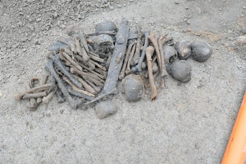 Bei Erdarbeiten nach dem Abriss eines Hauses sind in Lippetal mehrere Schädel und eine Vielzahl von Knochen gefunden worden.