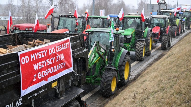 Gegen „Green Deal“ und Ukraine-Importe: Bauernproteste in Süd- und Osteuropa halten an