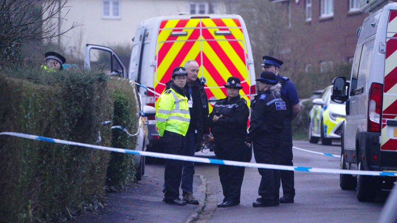 Wegen des Tods dreier Kinder in der englischen Stadt Bristol steht eine Frau unter Mordverdacht.