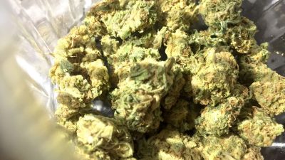 Ampel will Cannabis-Gesetz in dieser Woche durchboxen – Medizin sieht Freigabe kritisch