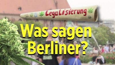 Debatte um Gras: Berlins Bürgerstimmen zur Legalisierung