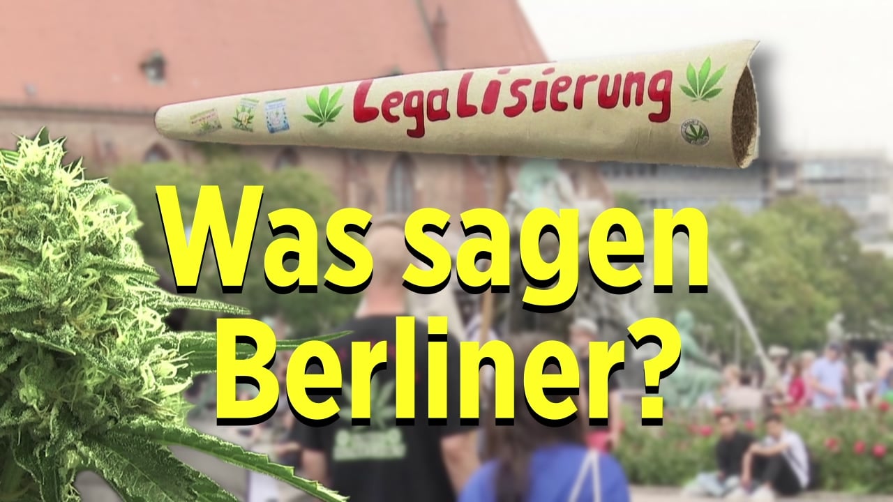 Debatte um Gras: Berlins Bürgerstimmen zur Legalisierung