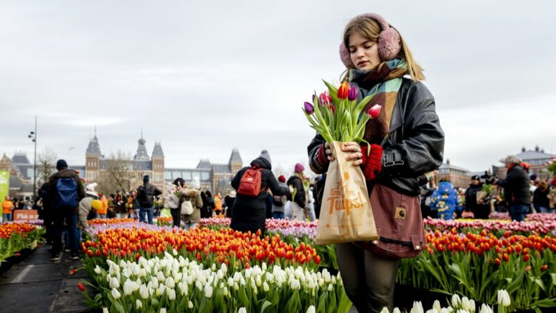 Amsterdam will Touristen mit Quiz Benimmregeln beibringen