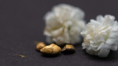 Alchemie oder Recycling? Schweizer Forscher machen Gold aus Abfall