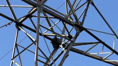 BASF will Verstaatlichung der Stromnetze