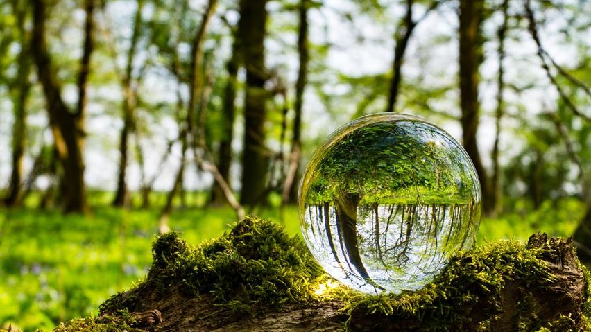 Meteorologieprofessor: „Nicht einmal das IPCC spricht von Klima als existenzieller Bedrohung“