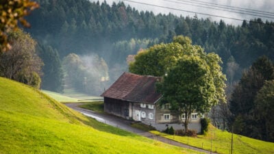 Ein Konzert für Viola