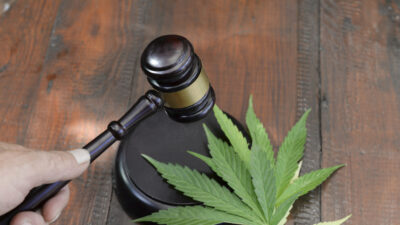 Tausende Fälle neu bewertet: Cannabis-Legalisierung bringt Häftlingen die Freiheit