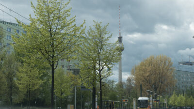 Initiative „Baumentscheid“ strebt Referendum an: Bis 2035 soll Berlin über 800.000 Bäume verfügen