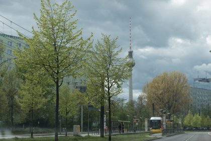 Initiative „Baumentscheid“ strebt Referendum an: Bis 2035 soll Berlin über 800.000 Bäume verfügen